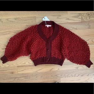NWT Soft Cropped Anthropology Sweater
